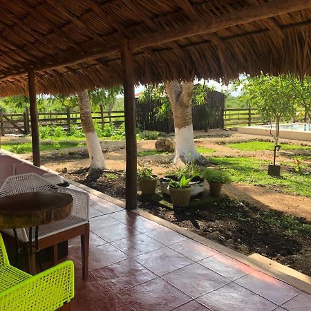 Hotel Amor Panaba Progreso  Dış mekan fotoğraf
